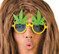 Hanfblatt Brille für Erwachsene Rasta