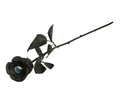 Halloween Rose Mit Geheimnisvollem Auge