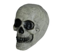 Skelett Schädel Halloween Dekoration