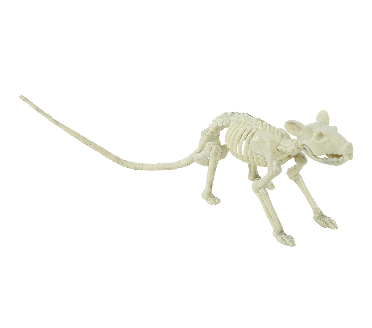 GP26082 – Rattenskelett 20 cm mit roten Augen – Farbe: Beige