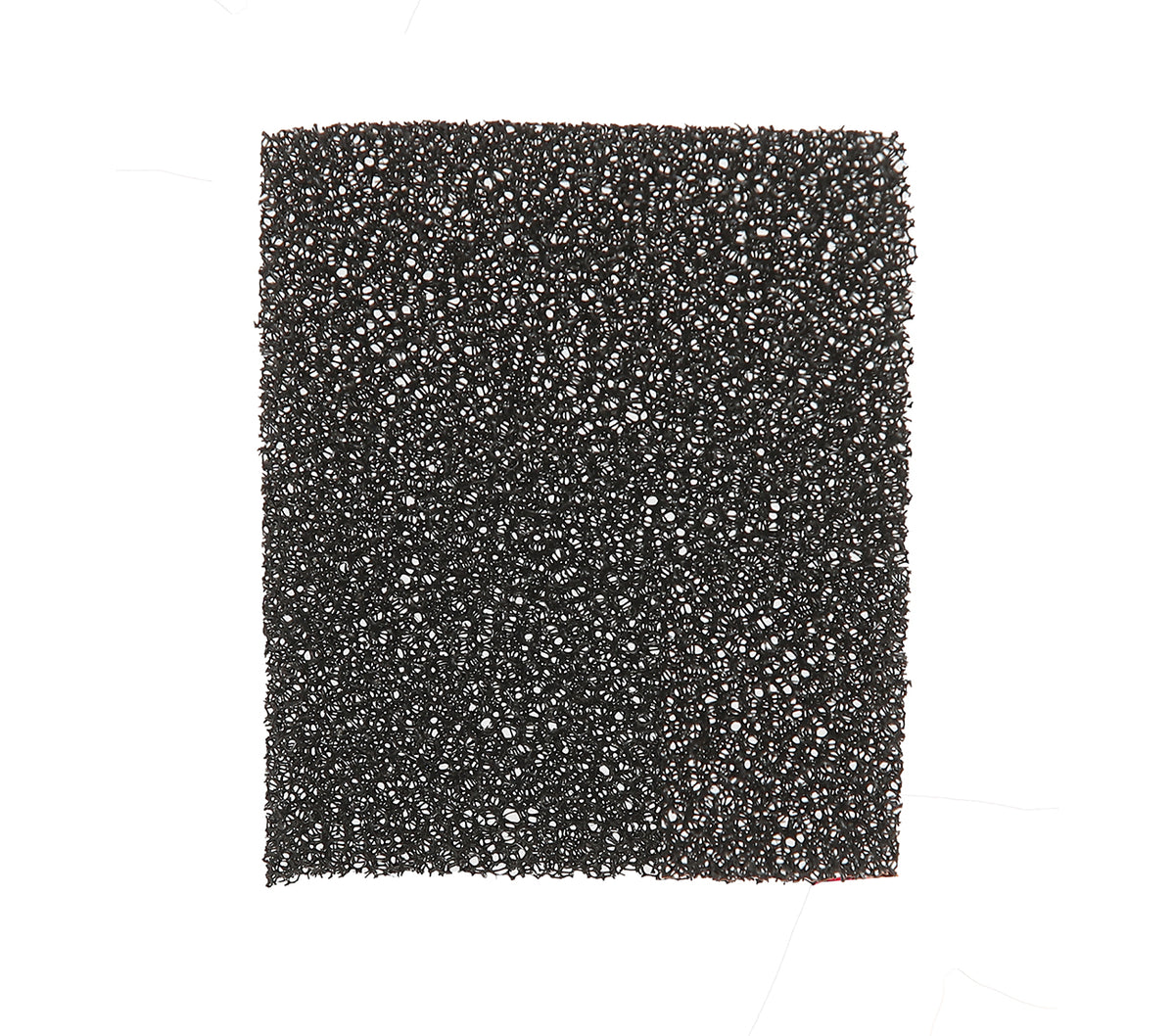 GP15814 – Halloween Schwamm Reinigung Abrasiv – Farbe: Schwarz