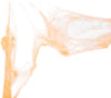 GP24213 – Tiere Halloween Spinnennetz Orange Gruselig – Farbe: Orange