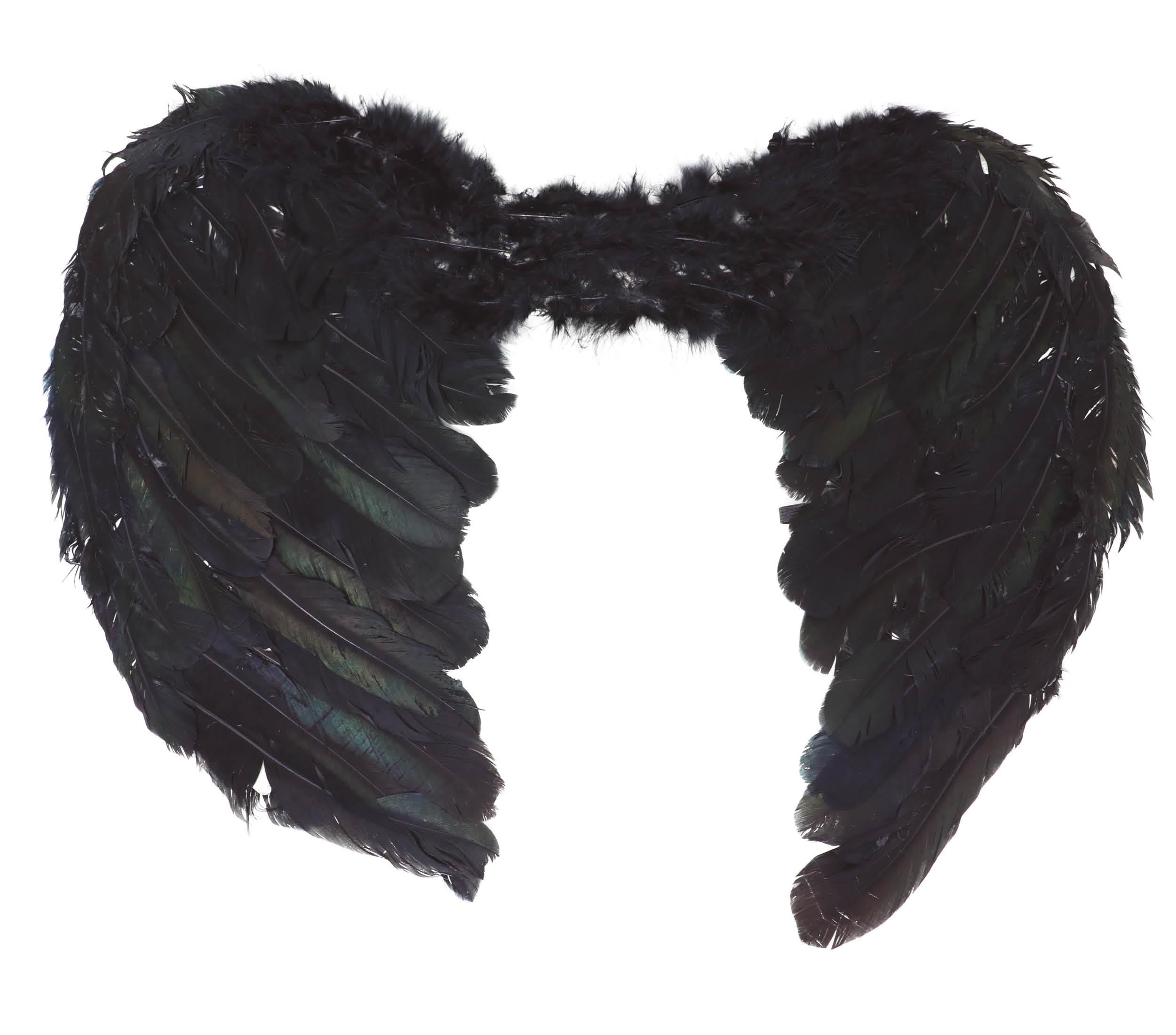 GP16885 – Weihnachtsengel Flügel Accessoire Rosa – Farbe: Schwarz