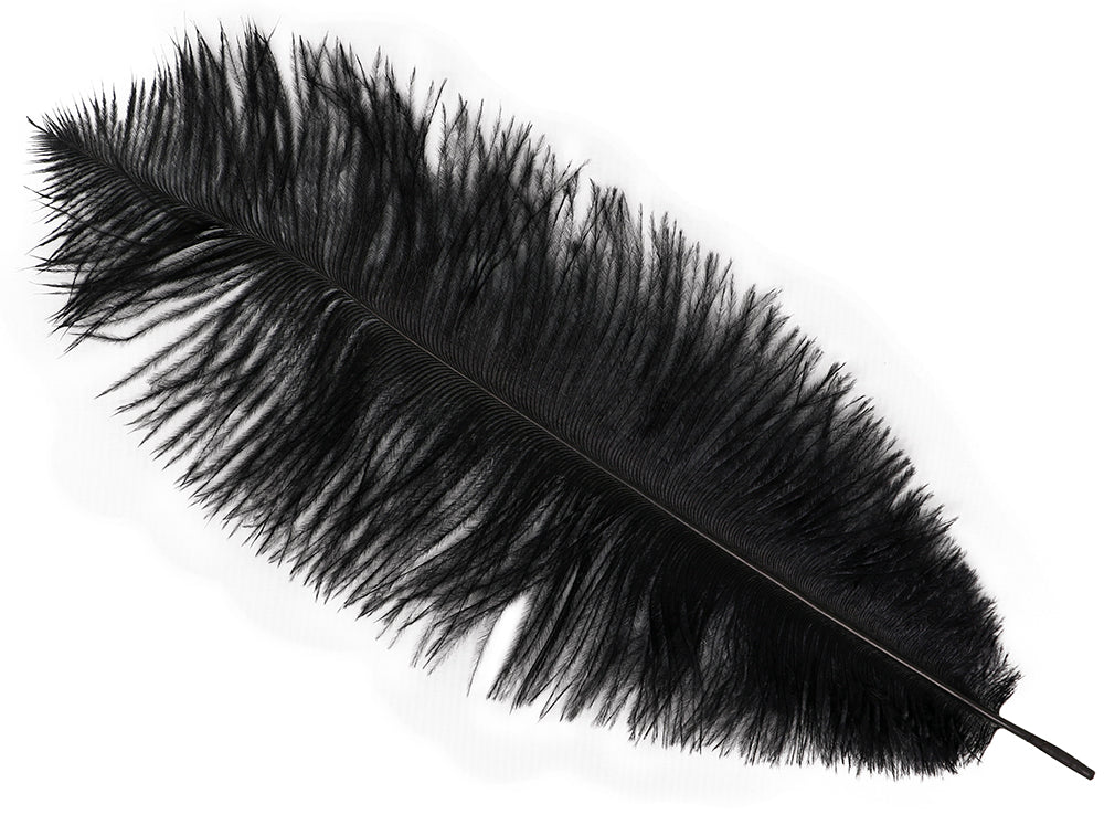 GP17643 – 20S Gelbe Deko Feder Karneval Fasching – Farbe: Schwarz