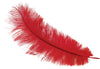 GP17643 – 20S Gelbe Deko Feder Karneval Fasching – Farbe: Rot