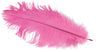 GP17643 – 20S Gelbe Deko Feder Karneval Fasching – Farbe: Pink