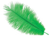 GP17643 – 20S Gelbe Deko Feder Karneval Fasching – Farbe: Grün
