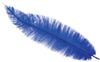GP17664 – 20s Karneval Straußfedern Dekoration – Farbe: Blau