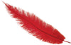 GP17664 – 20s Karneval Straußfedern Dekoration – Farbe: Rot