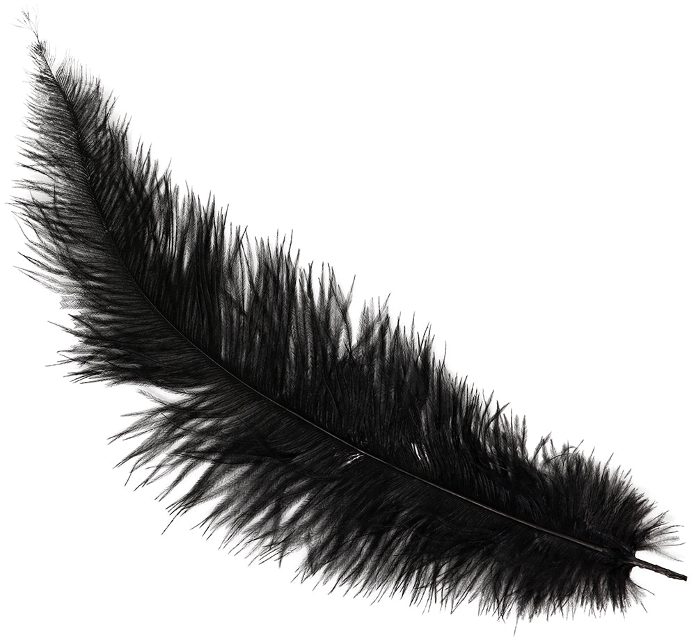 GP17664 – 20s Karneval Straußfedern Dekoration – Farbe: Schwarz