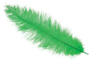 GP17664 – 20s Karneval Straußfedern Dekoration – Farbe: Grün