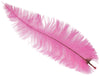 GP17664 – 20s Karneval Straußfedern Dekoration – Farbe: Pink