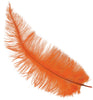 GP17664 – 20s Karneval Straußfedern Dekoration – Farbe: Orange