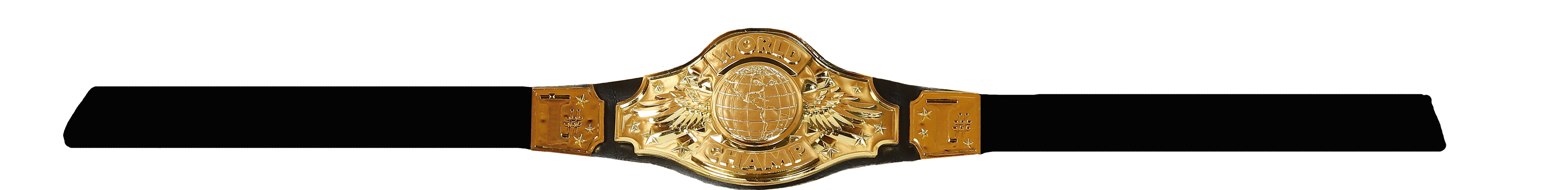 GP17805 – Sport Champion Gürtel Karneval – Farbe: Schwarz