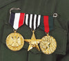 GP18694 – Militaer Abzeichen Karneval Medaille – Farbe: Gold