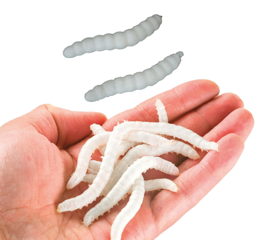 Gummiwürmer 4 cm 20 Stück weiß Halloween