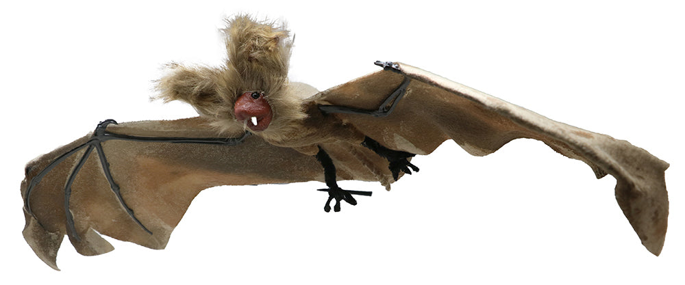 GP19716 – Fledermaus Deko Halloween Große Bat – Farbe: Braun