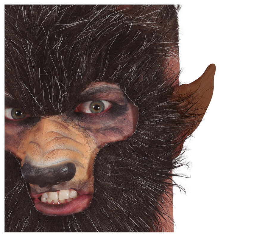 Latex Werwolf Ohren für Erwachsene braun
