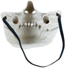 GP20505 – Vampir Halbmaske Horror Party Ausstattung – Farbe: Natural