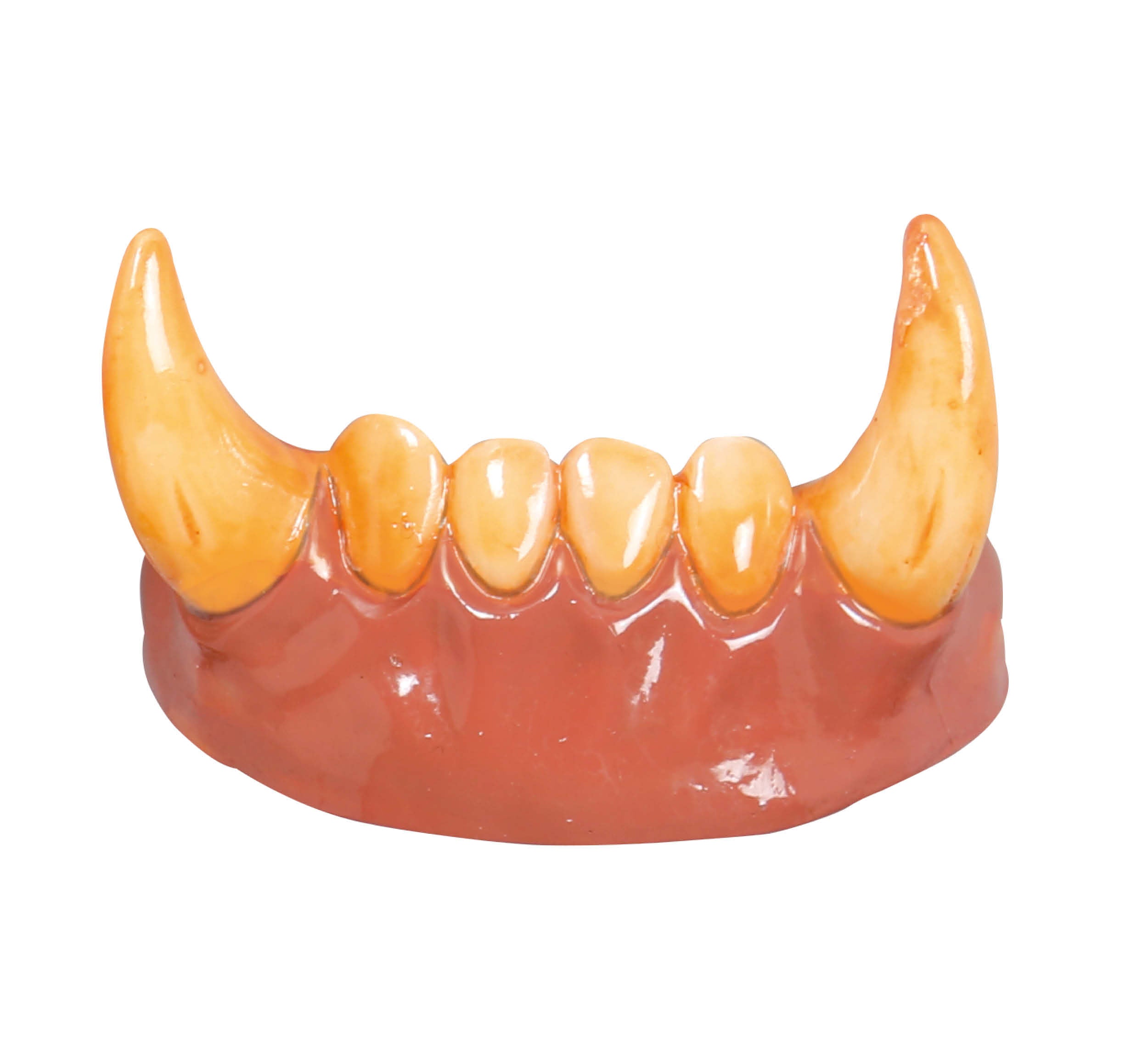 GP2188 – Werwolf Halloween Partyzähne – Farbe: Weiß