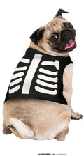 Skelett Haustier Outfit Halloween
