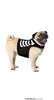 GP24110 – Heimtier Skelett Tunika Halloween Kostüm – Farbe: Schwarz