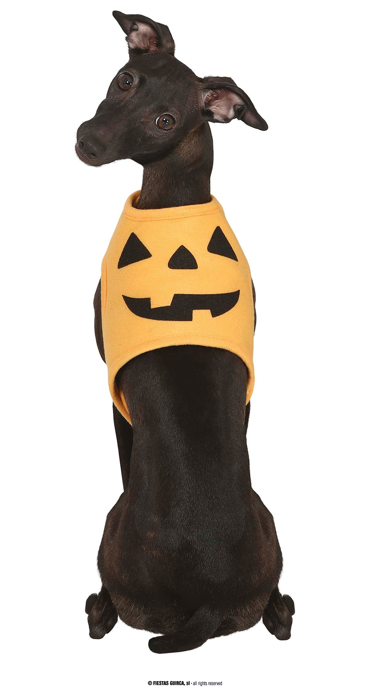 GP24111 – Kürbis Hund Outfit Halloween Spaßige – Farbe: Orange