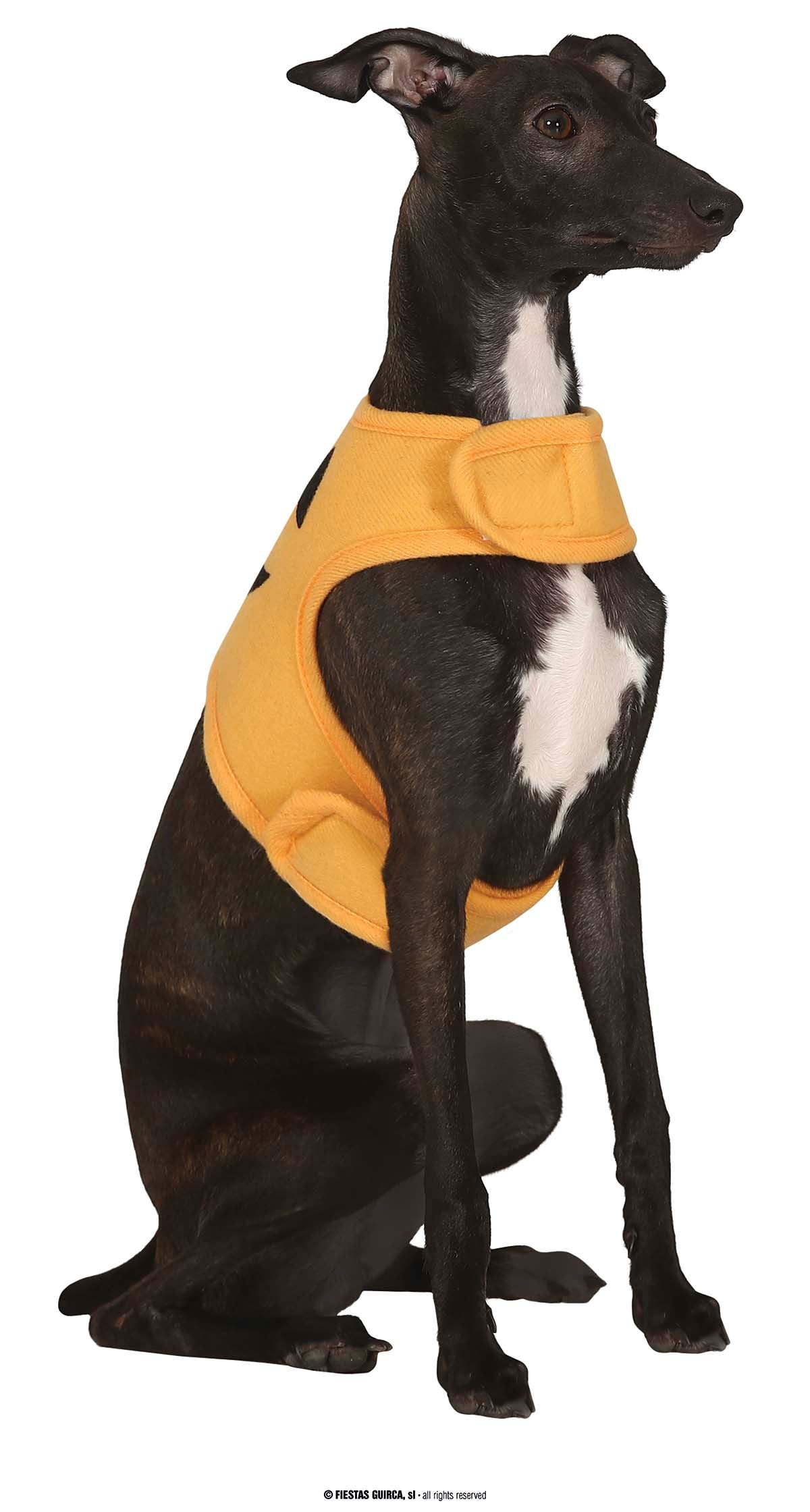 GP24111 – Kürbis Hund Outfit Halloween Spaßige – Farbe: Orange