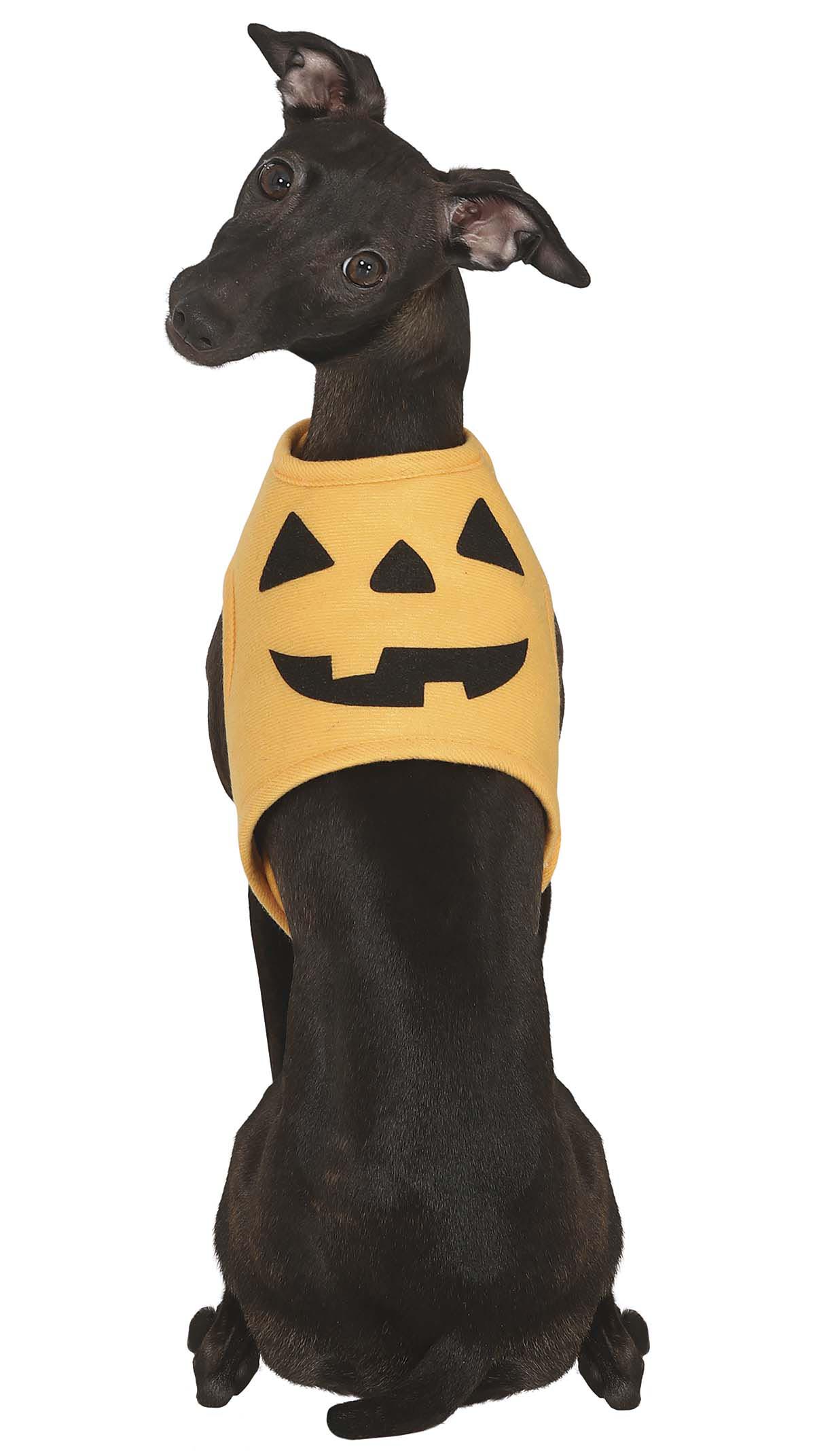 GP24111 – Kürbis Hund Outfit Halloween Spaßige – Farbe: Orange