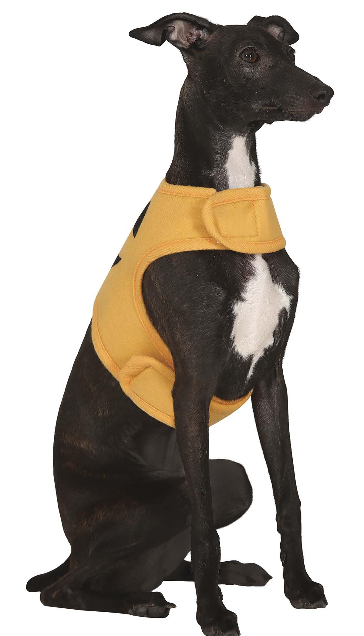 GP24111 – Kürbis Hund Outfit Halloween Spaßige – Farbe: Orange