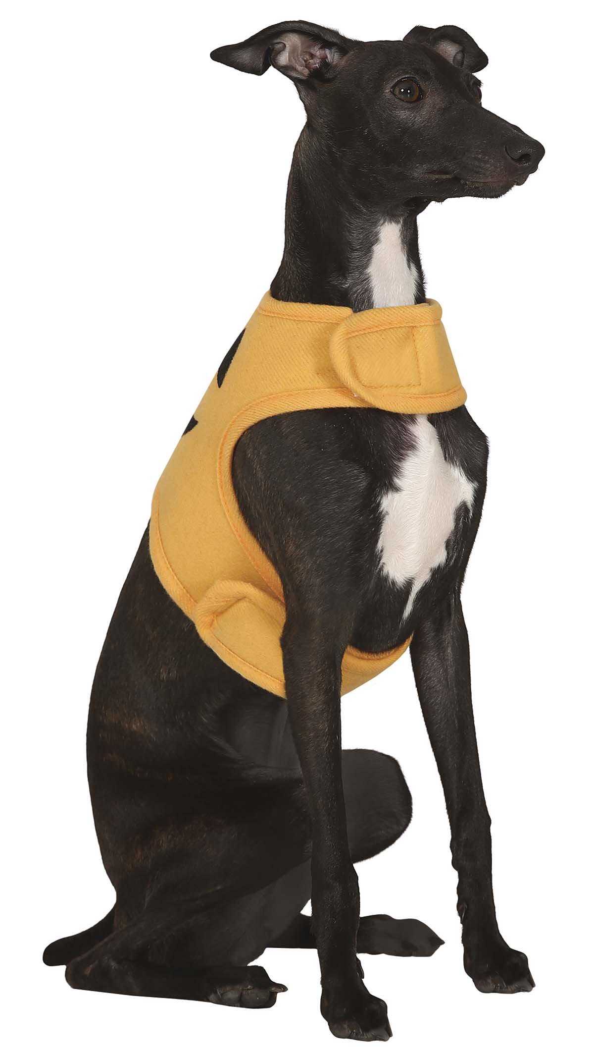 GP24112 – Kürbis Halloween Kostüm Lustig – Farbe: Orange