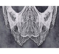 Gruselstoff 200 x 500 cm Halloween Deko