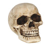 GP24333 – Skelett Totenkopf Ornament Halloween – Farbe: Beige
