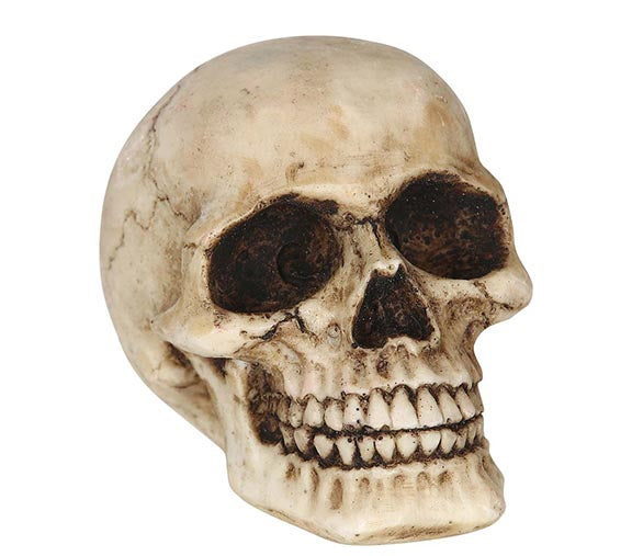 GP24333 – Skelett Totenkopf Ornament Halloween – Farbe: Beige, Ansicht 2