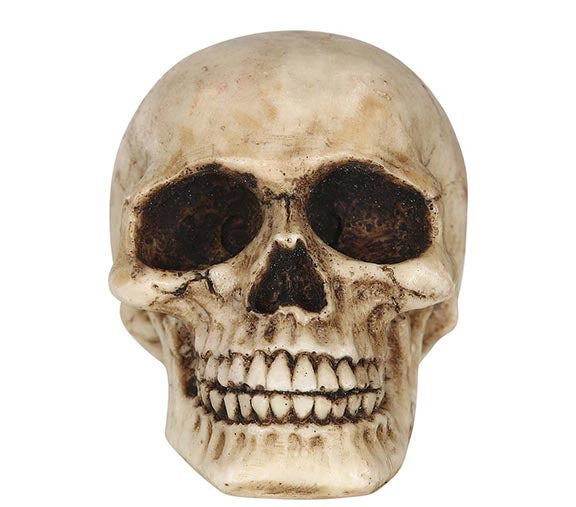 GP24333 – Skelett Totenkopf Ornament Halloween – Farbe: Beige