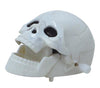 GP24343 – Halloween Zombie Kürbis Schädel Beweglich – Farbe: Mehrfarbig