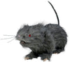 GP24389 – Tier Ratte Halloween Dekoration Horror – Farbe: Grau
