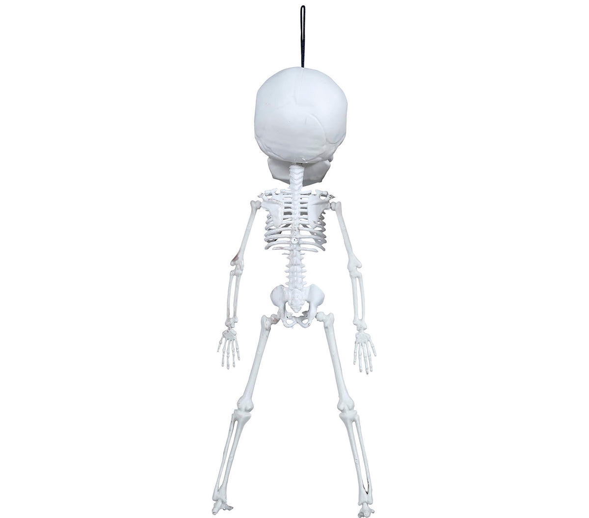 GP24406 – Skelett Halloween Dekor Dickkopf Hängehängefigur – Farbe: Weiß