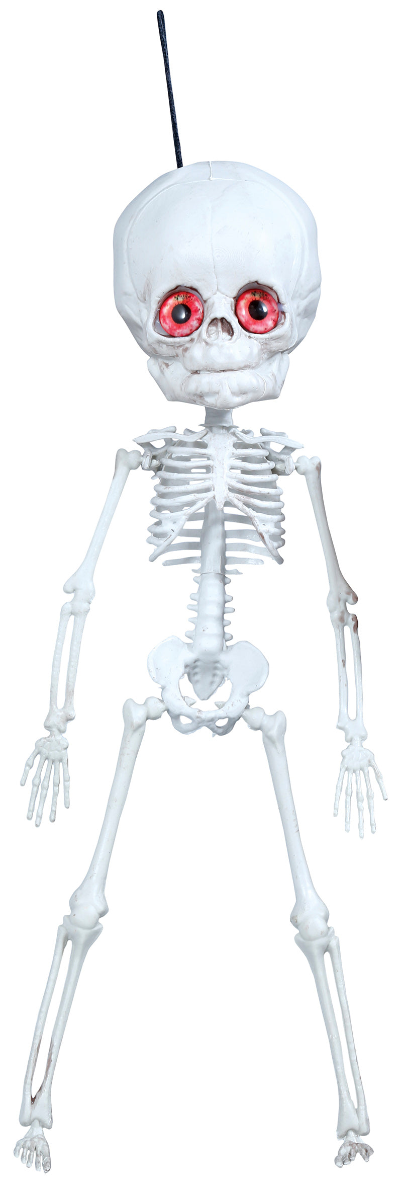 GP24406 – Skelett Halloween Dekor Dickkopf Hängehängefigur – Farbe: Weiß