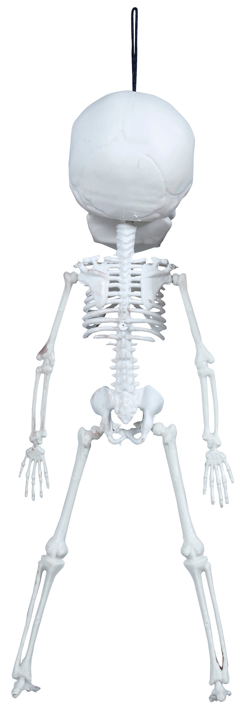 GP24406 – Skelett Halloween Dekor Dickkopf Hängehängefigur – Farbe: Weiß