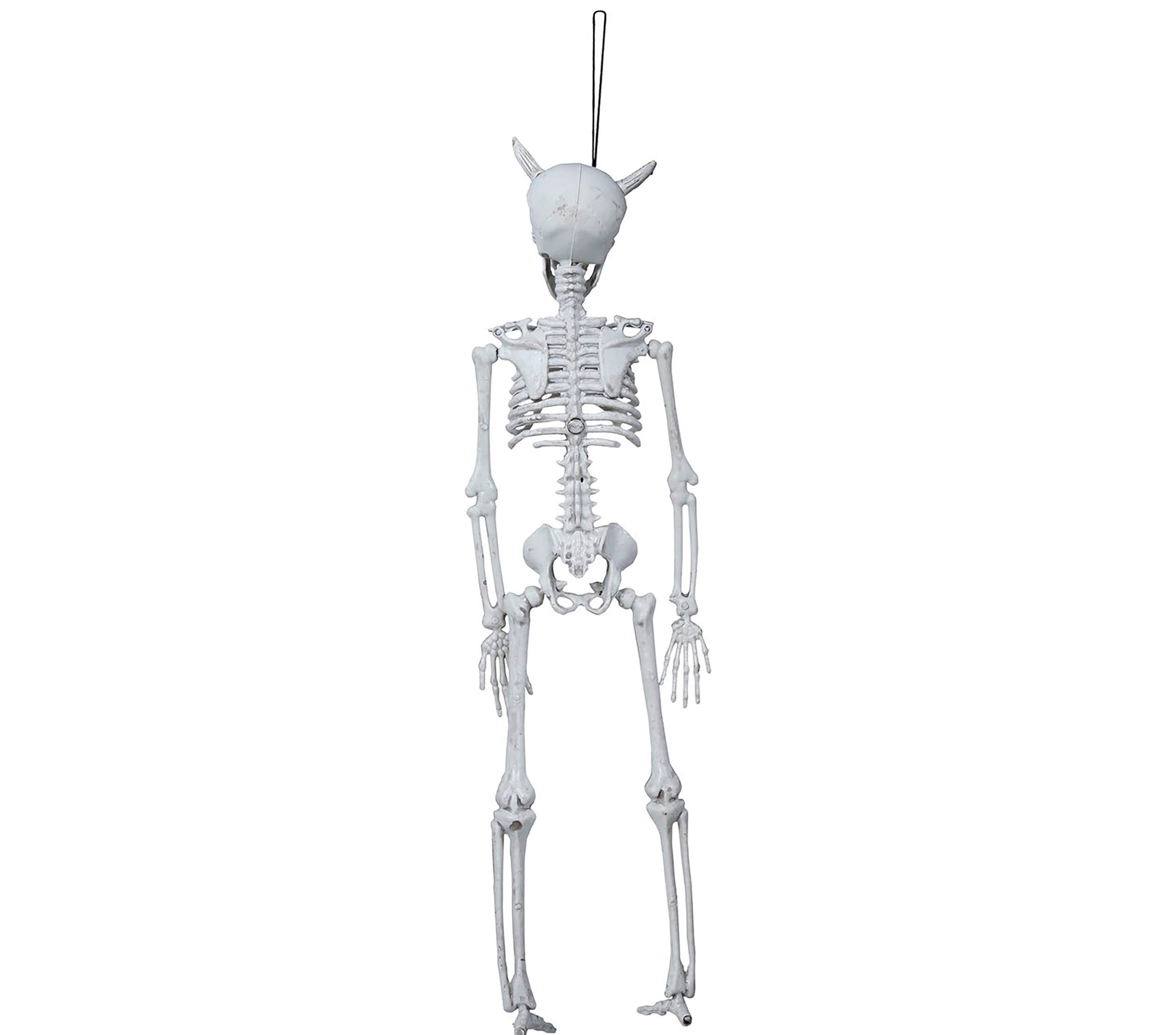 GP24407 – Skelett Halloween Hängefigur Deko – Farbe: Weiß