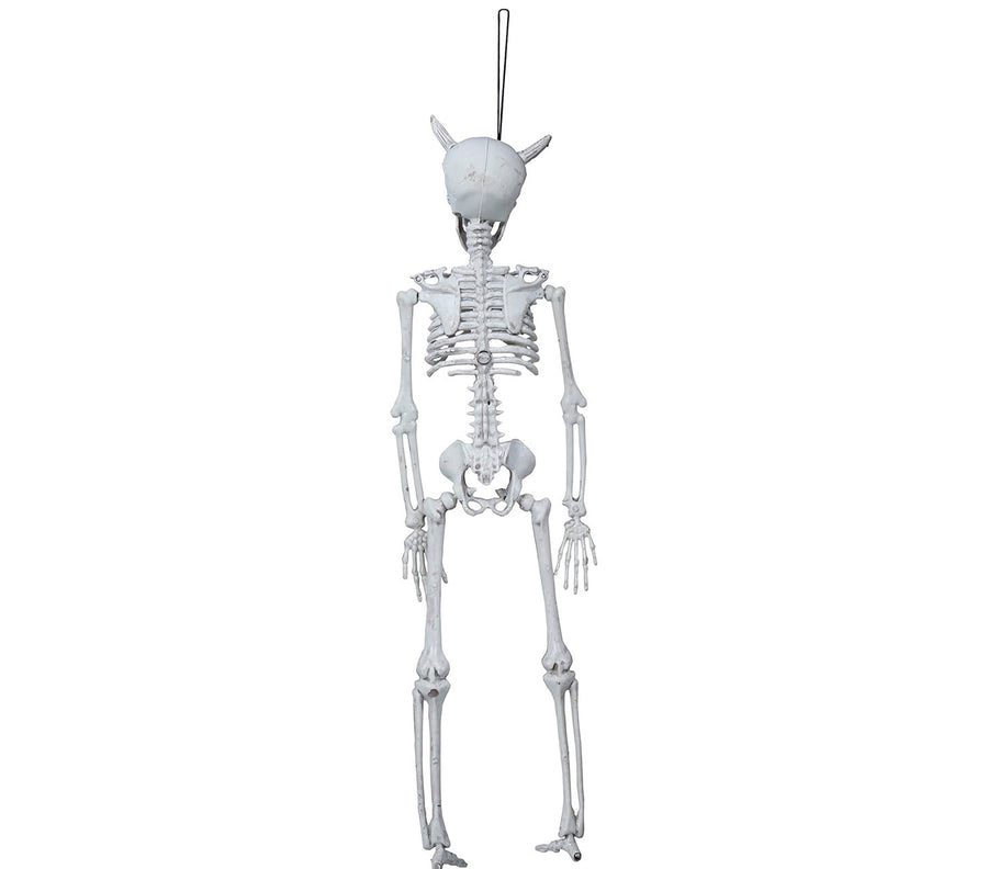 GP24407 – Skelett Halloween Hängefigur Deko – Farbe: Weiß, Ansicht 2
