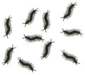 Deko Tausendfüßler 10 cm Zehnerpack Halloween