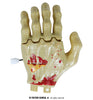 GP24654 – Skelett Hand Gruselhaft Aufziehbar – Farbe: Beige
