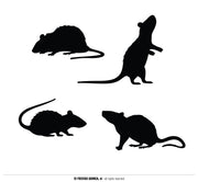 Ratten Dekoration für Erwachsene zum Kleben, Bild 1