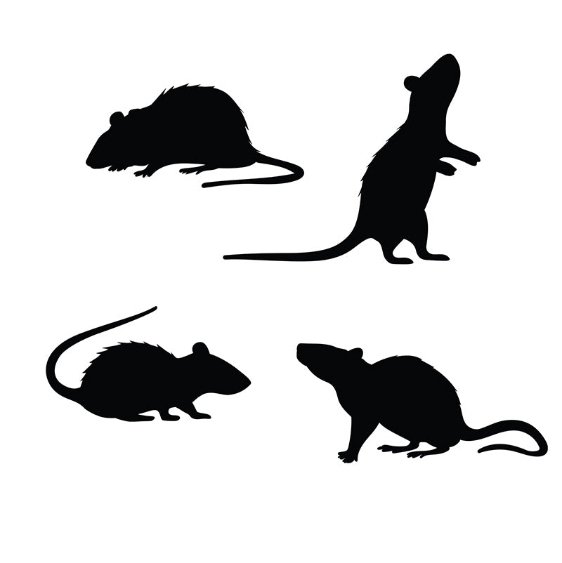 GP24684 – Tierische Schatten Ratten Halloween Dekoration – Farbe: Schwarz