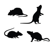 Ratten Dekoration für Erwachsene zum Kleben, Bild 2