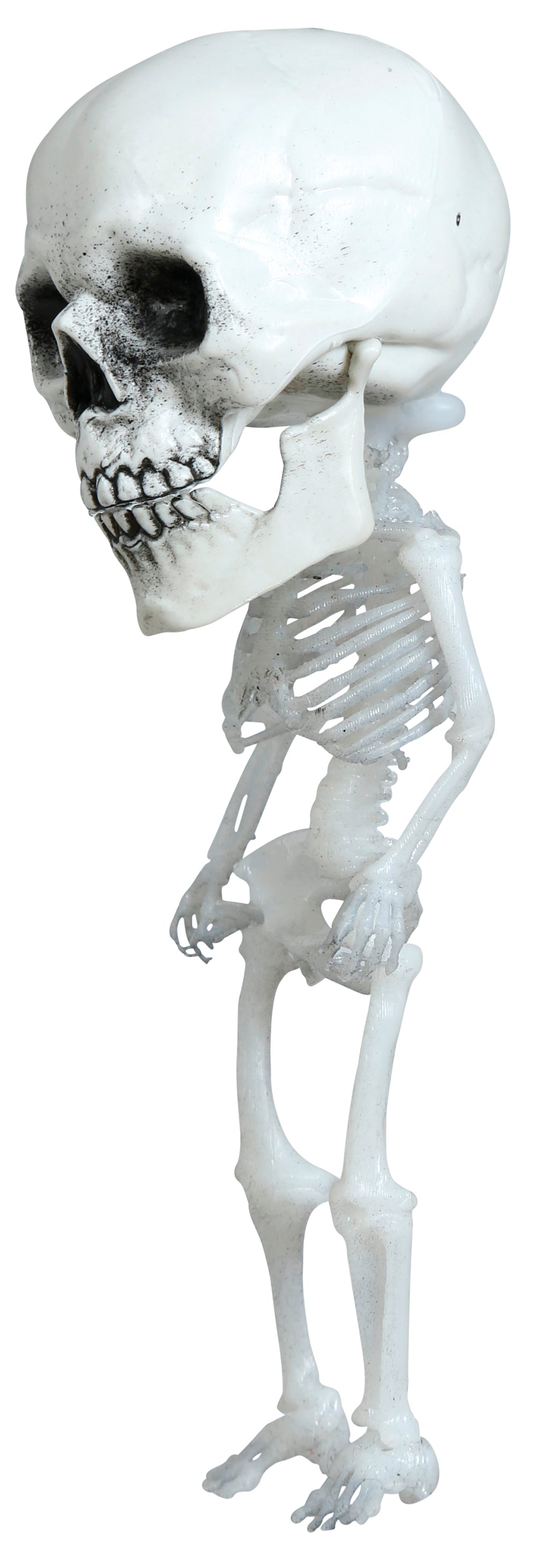 GP24875 – Halloween Skelett Hängefigur Schädel – Größe: Standard
