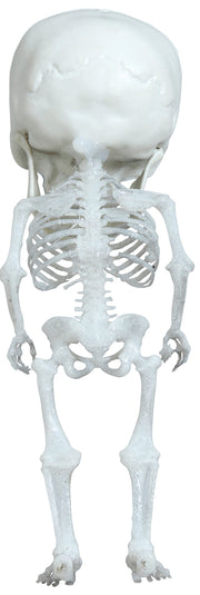 Skelett Hängefigur mit großem Kopf 15 cm, Bild 6