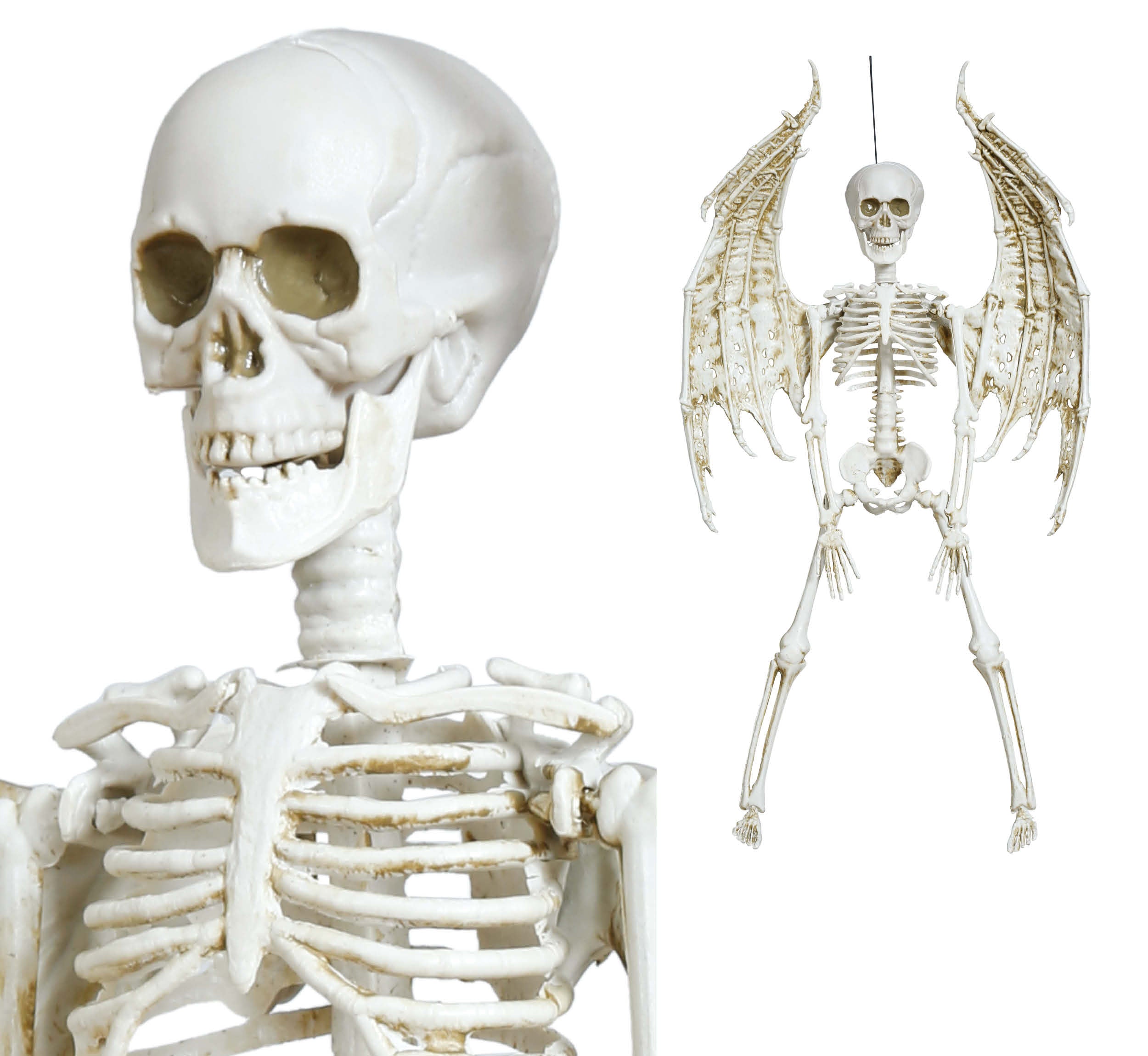 GP24887 – Halloween Skelett Flügel Dekoration – Größe: Standard